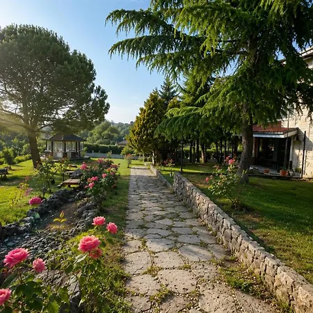 Luxury Detached With Private Pool & Large Garden